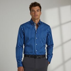 Robert Graham Knowledge Wisdom Unity Blue Striped Dress Shirt L XL 43 17 Crest